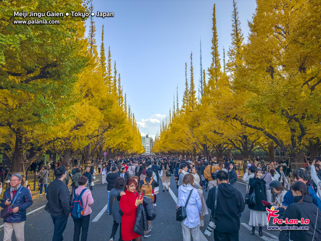 Meiji Jingu Gaien